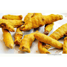 Exporter of Freeze Dried Turmeric